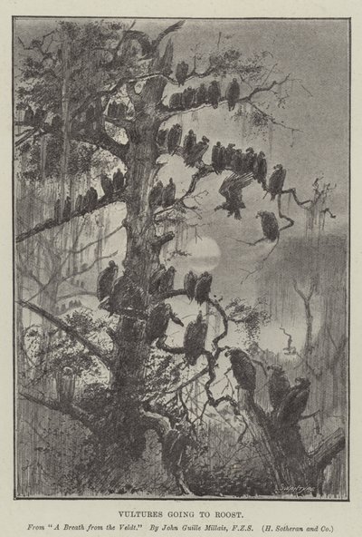 ねぐらに行くハゲタカ 作： John Guille Millais